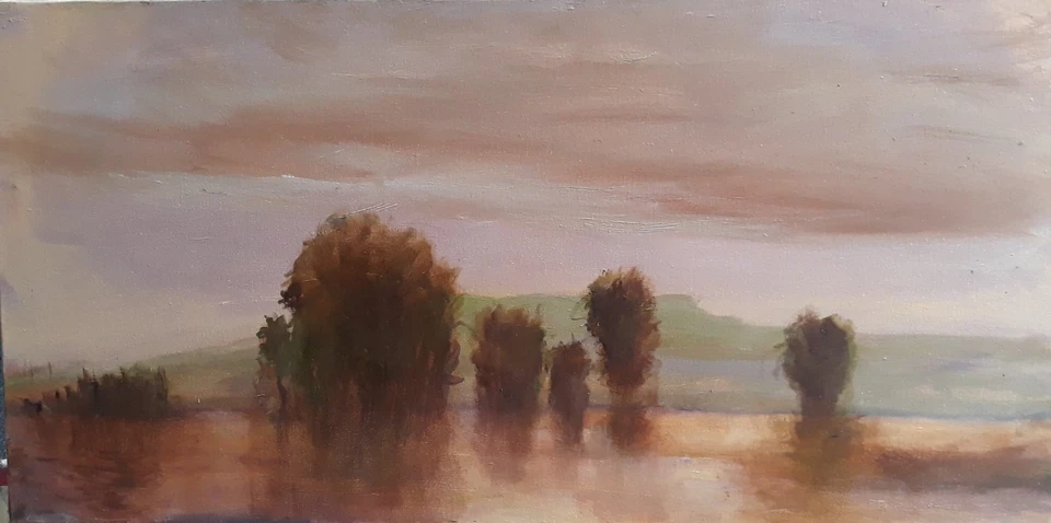 PINTURA GRANDE DE LA ESCUELA DEL RÍO PERANTONI HUDSON ARTISTA LISTADA DE 3 PIES RÍO LENTO Foto 1 de 1