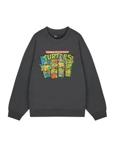 Sudadera retro gris Teenage Mutant Ninja Turtles sudadera para hombre - Imagen 1 de 9