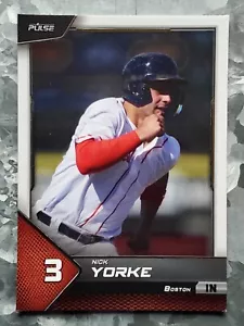 #3 Nick Yorke 2024 Pulso Béisbol Rubí - Piratas de Pittsburgh - Imagen 1 de 3