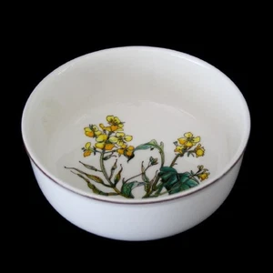Müslischale 13 cm - TOP - Botanica - Villeroy & Boch - Bild 1 von 1