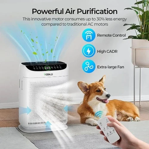 TEBILD ZX001 HEPA Air Purifier – 3000 ft² Coverage | Smart, Quiet, Powerful - Image 1 of 4