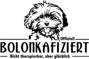 BOLONKA ZWETNA Autoaufkleber - Bolonka Aufkleber - Schriftzug Bolonka infiziert - Bild 1 von 3