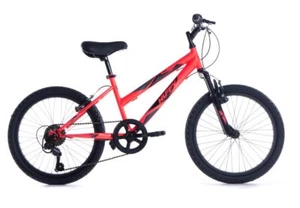 20 Zoll Kinderfahrrad Kinder Mädchen MTB Mountainbike Fahrrad Rad Bike STONE - Bild 1 von 9