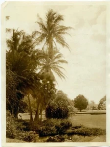Fotografía de Hawaii Moanalu Gardens de 1920 - Imagen 1 de 1