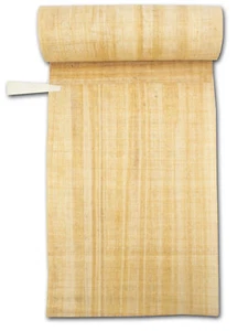 Buchrolle Plinius secundus | Schriftrolle - Papyrusrolle 4m lang echter Papyrus - Bild 1 von 6