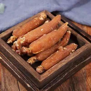 Koreanischer roter Ginseng | 6-7 Yers ganze Wurzeln | Premiumqualität | Ginsengwurzel - Bild 1 von 10
