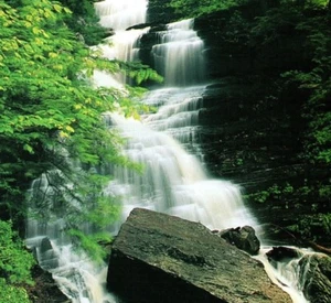 Lye Brook Falls Manchester Vermont Waterfall Vintage Postcard - Picture 1 of 3
