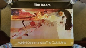 DOORS JIM MORRISON - WIERD SCENES - ORIGINAL VINTAGE 1972 19 X 26 PROMO POSTER - Picture 1 of 6