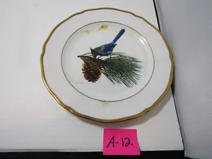 A-12 STELLERS JAY OLD AMERICAN SONGBIRD BONE CHINA PLATE RAY HARM - Picture 1 of 2