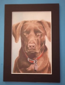 Impresión de Pintura de Perro Labrador Retriever Chocolate 5" x 7" Enmate 4" x 6" - Imagen 1 de 3