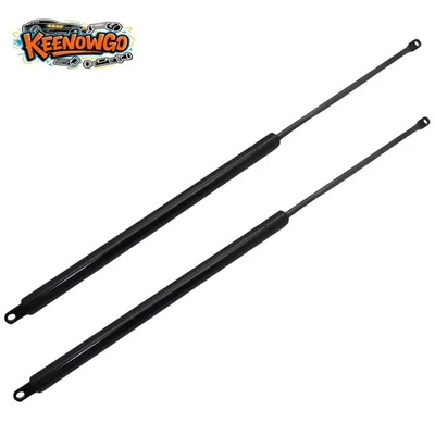 2x Se adapta a los amortiguadores Case IH Lift 376669A1 EE. UU. Foto 1 de 4