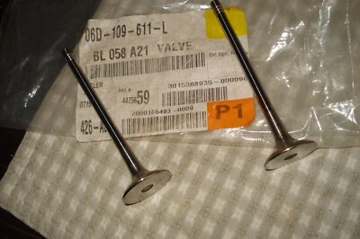 Genuine Audi Volkswagen 3.2L Exhaust Valves, Pair (2)  06D-109-611-L, Q5 A4 A5 - Image 1 of 2