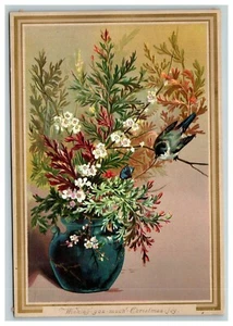 Biglietto natalizio vittoriano vintage 1890 bellissimi fiori in vaso uccellino blu - Foto 1 di 2