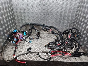 Renault Trafic MK3 2.0 Vivaro B 2015-22 R9M710 Engine Wiring 240116983S (V183) - Picture 1 of 24