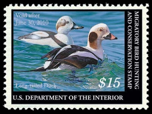 RW76 — 2009 Federal duck stamp - Picture 1 of 1