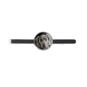 Weimaraner Perro Para hombres Corbata Barra Deslizante Cumpleaños Boda o Día del Padre Regalo C390 - Imagen 1 de 1
