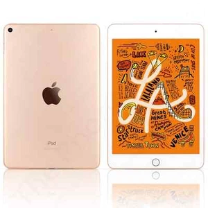 Excellent iPad Mini 5th Gen 64GB WIFI LTE Unlocked A2126 Gold 1 Yr Wty🔋93% - Picture 1 of 1