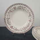 Assiettes Creuses Décor Lyonnais De Choisy Le Roi Terre De Fer Sepia 19ème