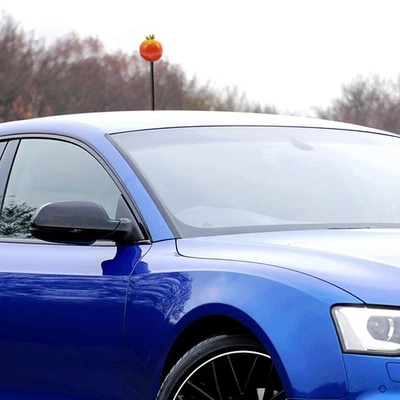  Antenna Auto Accessorio Decorazione Dell'antenna Per Decorazioni - Image 1 of 4