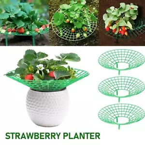 ❀5/10x Strawberry Stand Frame Holder Balcony Planting Rack Fruit Support Plant - Picture 1 of 11