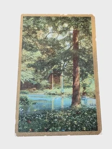 Antique 1910 Mailed Postcard With Forest Scene & Handwritten Note - Picture 1 of 2