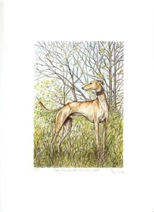 Greyhound Limited Edition Art Print by UK Artist Elle Wilson Days to remember - Picture 1 of 1