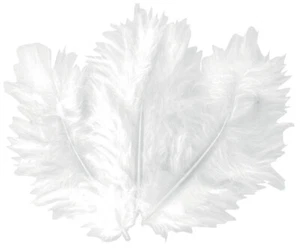 Feathers White 5-10 CM 50 Pieces - Picture 1 of 1