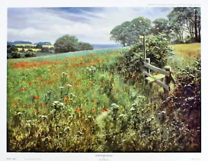 David Dipnall "Poppy Meadow" Green Fine art print collectible fine print - Picture 1 of 2