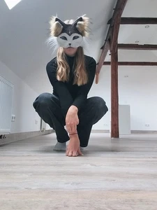 Wunderschöne Husky Hunde Maske - Bild 1 von 8