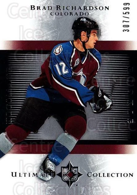 2005-06 UD Ultimate Collection #152 Brad Richardson - Image 1 of 1