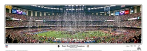 2013 Super Bowl XLVII Baltimore Ravens Celebration Panoramic Poster 1055 - Picture 1 of 5