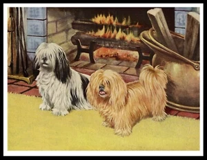 LHASA APSO TWO DOGS BY FIRE LOVELY VINTAGE STYLE ART PRINT POSTER - Picture 1 of 1