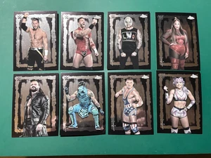 2025 Topps Chrom Kaktus Jack Festival Fury Einsatz 8 Karten Lot - keine Duplikate - Bild 1 von 1