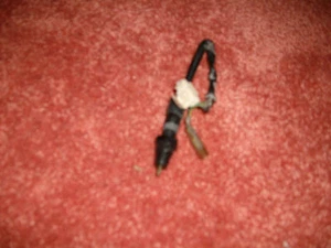 Interruptor de freno 78 Honda CB750 F CB 750 SOHC - Imagen 1 de 1