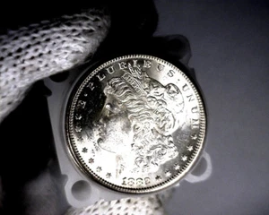 Dólar de plata Morgan 1882-s blanco explosivo sin circular de un rollo nuevo se clasificará - Imagen 1 de 1
