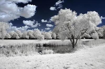 Nikon D70 D70s Infrared Conversion Service. Infrared 720nm - Image 1 of 4