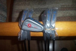 BRAND NEW Spalding Dot 6-pw irons steel shaft RH ladys - Picture 1 of 3