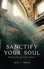 Sanctify Your Soul: Meditations for Your Journey to Holiness by Fr Leo Trese (En