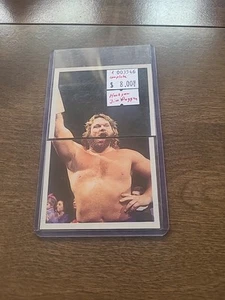 1992 Merlin Sticker WWF Hacksaw Jim Duggan 2 Sticker Set #72-73 C003546 - Picture 1 of 2