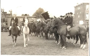 Hippique Horse Sport RPPC Holanda 03.12 - Imagen 1 de 2