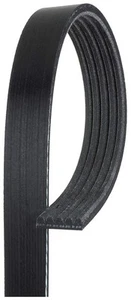 K050586 Multi V-Groove Belt - Picture 1 of 2