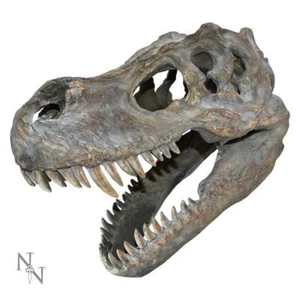 Tyrannosaurus Rex Dinosaur Skull Small 395cm - Picture 1 of 1