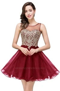 Short Tulle Dress with Gold Applique for Homecoming Prom Birthday Dama Burgundy - Picture 1 of 4