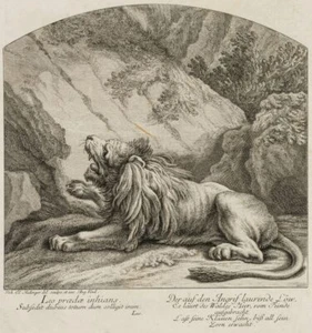 J. RIDINGER (1698-1767), Der lauernde Löwe, um 1760, Rad. Klassizismus Tiere - Bild 1 von 8