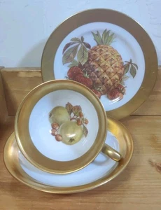Vtg 3-pc Westminster Australia Trio Cup Saucer Plate Nuts Fruit Leaves Gold Rim - Picture 1 of 9