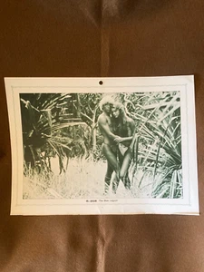 Brooke Shields The Blue Lagoon Vintage Promo poster calendar 1982 - Imagen 1 de 4