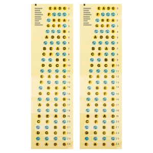 2 Pcs Bass Sticker Guitar Accessories Fret Label Number Stickers - Picture 1 of 12