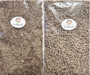 Blood Worms Fish Food Freeze Dried and Bloodworm Pellets DUAL PACK All Aquariums - Picture 1 of 4