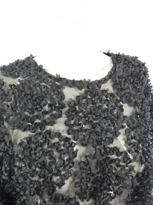 Blusa Zara Negra Floral Apliques Crop Top Malla Transparente 3D Flores Talla M Molly Foto 1 de 4