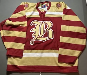 Camiseta deportiva de hockey vintage de los Oklahoma City Blazers 15 aniversario CHL talla L/grande - Imagen 1 de 6